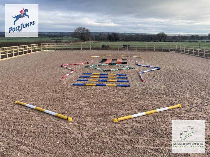 How Can Pole Work Strengthen Your Horse? | Sarah Devonport
