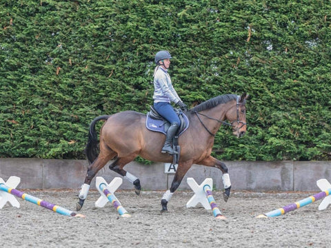 Maximise Your Training with The Cavaletti Cross | Nina Gill