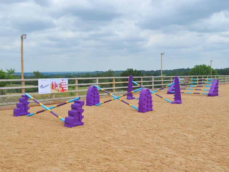 4 fences all purple. MultiJumps, Hedgehogs Jumps, 8 Cups and Combi Blocks. The first 3 fences 2 9 Band Practice poles coloured Baby blue, yellow and purple. The Combi Block have 5 poles on the. The jumps are in the an arena.  