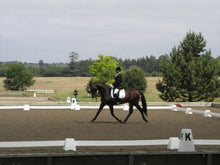 Load image into Gallery viewer, Photograph of Dressage Rider in Dressage Arena. Dressage Towers in foreground and background. 
