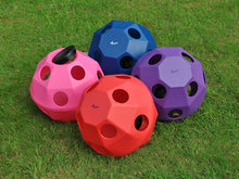 Load image into Gallery viewer, 4 HayBalls in different colours. Pink, Red, Blue &amp; Purple on grass.
