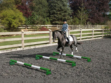 Load image into Gallery viewer, Horse and rider trotting over 3 Green and White 5 Band Practice Poles with PolePods.
