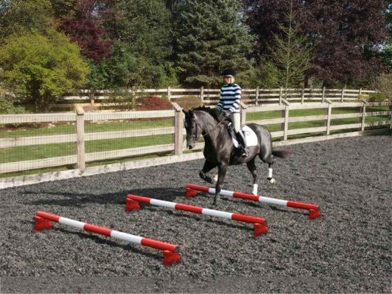 Horse and rider trotting over 3 Red and White 5 Band Practice Poles with PolePods.