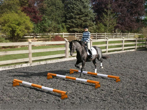 Horse and rider trotting over 3 Orange and White 5 Band Practice Poles with PolePods.