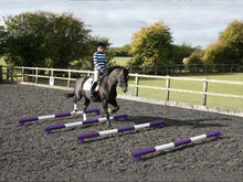 Load image into Gallery viewer, Horse and rider trotting over 4 5 Band Poles Purple and White red PolePods.
