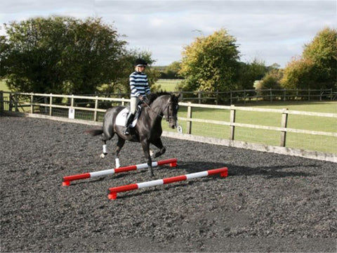 Horse trotting over 2 pairs of Red PolePods with 2 Practice Poles on them.