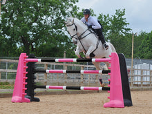 Load image into Gallery viewer, Horse jumping over 2 pairs of Black and Pink 8 Cups with 3 9 band Pro Poles coloured: Pink, White &amp; Black. 
