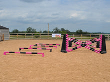 Load image into Gallery viewer, 4 rows of Mini Blocks alternating pink and black with pink and black 7 Band Pro Poles. Black and pink 8 Cups with matching 7 Band Pro Poles, with black Hedgehogs behind with 2 more 7 band Pro Poles.
