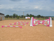 Load image into Gallery viewer, 4 rows of Mini Blocks alternating Pink and White with Pink and White 7 Band Pro Poles. White and Pink 8 Cups with matching 7 Band Pro Poles, with White Hedgehogs behind with 2 more 7 band Pro Poles.
