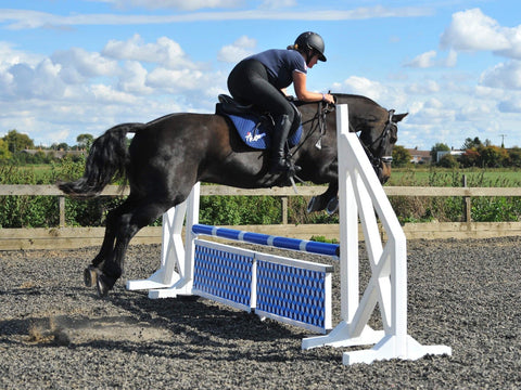 How To: Spice Up Your Show Jumps at Home