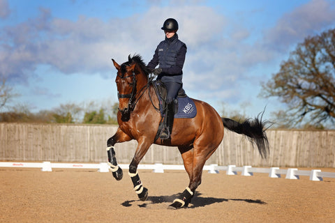 Top Tips for Setting Up Your PolyJumps Dressage Arena