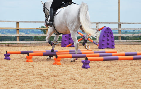 Simple Pole Work Exercises for Horses to Build Strength and Suppleness During Winter