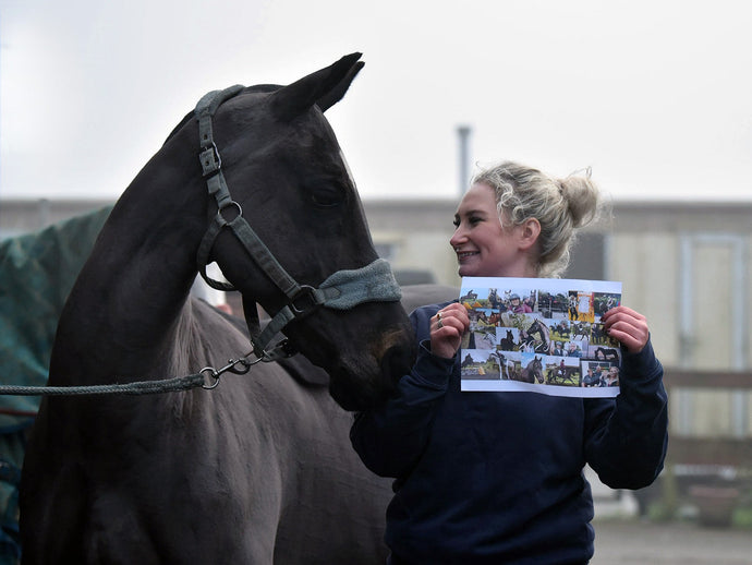 Building Your 2025 Equestrian Vision Board