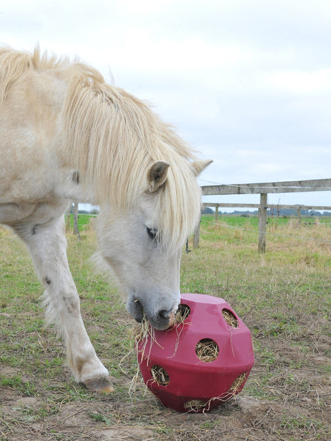 How to Make Winter Work for You