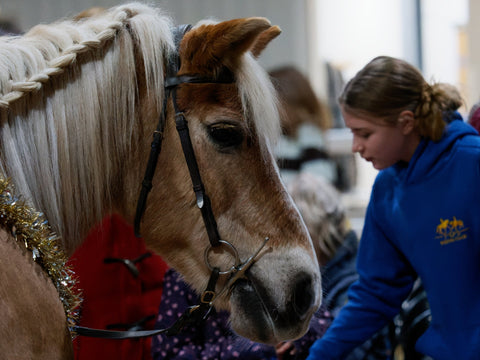 Riding for the Disabled Association (RDA) - A Showcase of RDA Centres