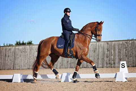 How To Improve Dressage Through Pole Work: Improving Straightness and Engagement