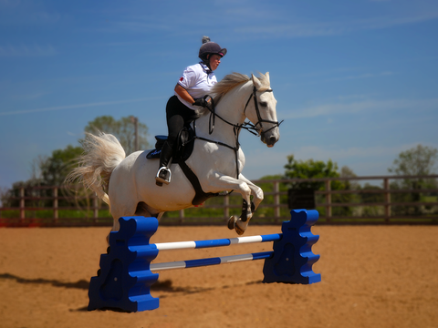 Beginner Jump Set | 1 Fence