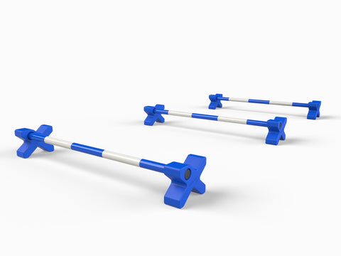 Cavaletti Cross | Triple Jump Set