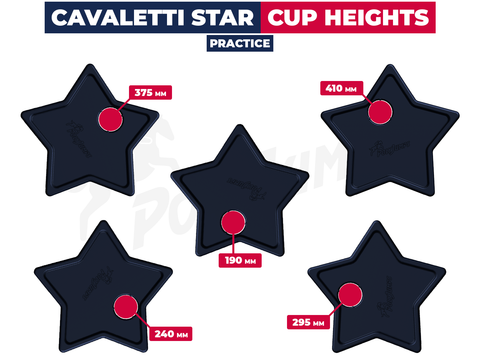 Recycled-Black Cavaletti Star | Pair