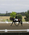 Photograph of Dressage Rider in Dressage Arena. Dressage Towers in foreground and background. 
