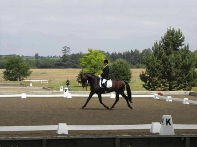 Photograph of Dressage Rider in Dressage Arena. Dressage Towers in foreground and background. 