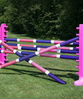 2 pairs of Pink 8 Cups with 6 Pro Poles coloured: Purple, White & Pink.
