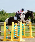 Photograph of horse and rider jumping over 3 fences. 3 Pairs of Yellow 8 Cups with 9 Pro Poles. Poles coloured Green, White & Yellow. 