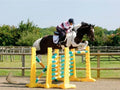 Photograph of horse and rider jumping over 3 fences. 3 Pairs of Yellow 8 Cups with 9 Pro Poles. Poles coloured Green, White & Yellow. 
