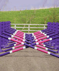 Carol Mailer Grid Set in Purple, comprised of: 14 Purple 8 Cups and 14 9 Band Pro Poles coloured: Purple, White & Pink..