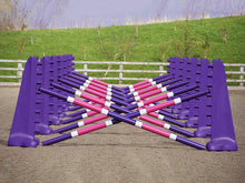 Load image into Gallery viewer, Carol Mailer Grid Set in Purple, comprised of: 14 Purple 8 Cups and 14 9 Band Pro Poles coloured: Purple, White &amp; Pink..
