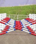 Carol Mailer Grid Set in White, comprised of: 14 White 8 Cups and 14 9 Band Pro Poles coloured: Red, Blue & White.