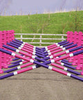 Carol Mailer Grid Set in Pink, comprised of: 14 Pink 8 Cups and 14 9 Band Pro Poles coloured: Purple, White & Pink..