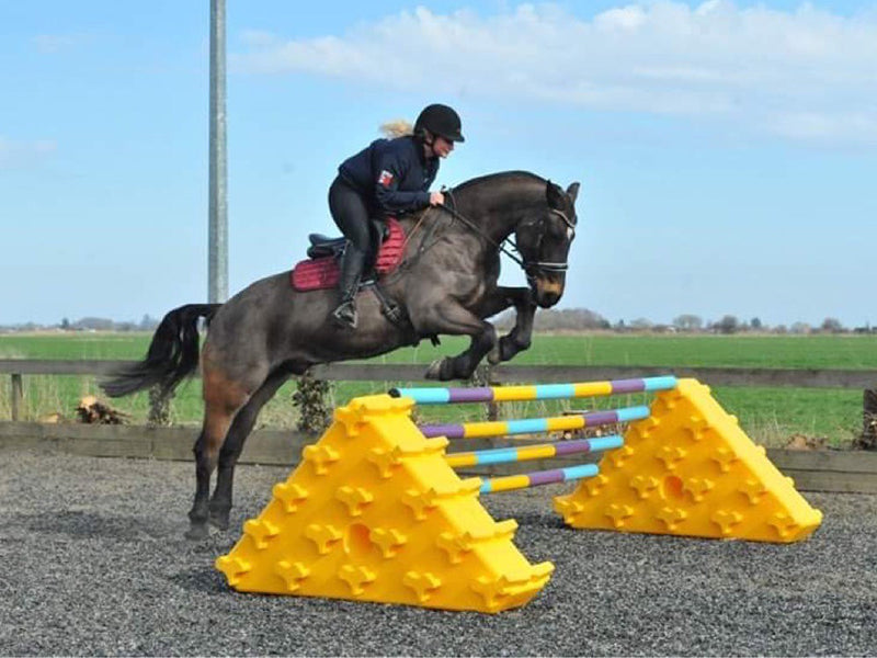 Horse Jump Sets