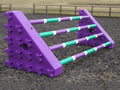 A pair of Purple Combi Blocks with 4 9 Band Pro Poles.