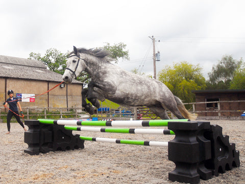 Eco Junior Jump Set | 2 Fence