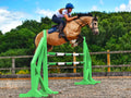 Horse and rider jumping over a pair of Eco Green Cross Wings with 2 9 Band Practice Poles. 