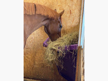 Load image into Gallery viewer, Horse eating out of Purple Corner Hay Feeder. 
