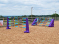 A pair of Purple 8 Cups with 4 9 Band Poles, Club Style and a pair of Purple Combi Blocks with 5 9 Band Poles in arena. 