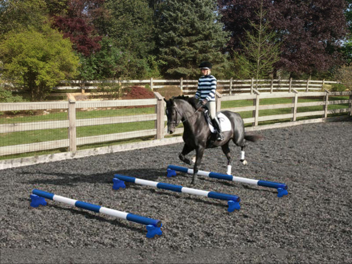 Horse and rider trotting over 3 Blue and White 5 Band Practice Poles with PolePods.