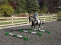 Horse and rider trotting over 3 Green and White 5 Band Practice Poles with PolePods.