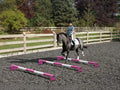 Horse and rider trotting over 3 Pink and White 5 Band Practice Poles with PolePods.