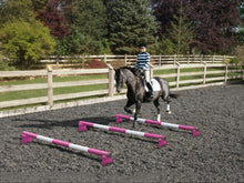 Load image into Gallery viewer, Horse and rider trotting over 3 Pink and White 5 Band Practice Poles with PolePods.
