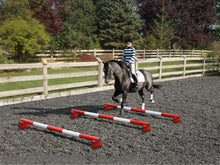 Load image into Gallery viewer, Horse and rider trotting over 3 Red and White 5 Band Practice Poles with PolePods.

