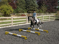 Horse and rider trotting over 3 Yellow and White 5 Band Practice Poles with PolePods.