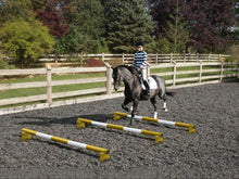 Load image into Gallery viewer, Horse and rider trotting over 3 Yellow and White 5 Band Practice Poles with PolePods.
