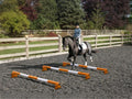 Horse and rider trotting over 3 Orange and White 5 Band Practice Poles with PolePods.