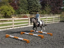 Load image into Gallery viewer, Horse and rider trotting over 3 Orange and White 5 Band Practice Poles with PolePods.
