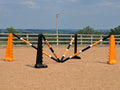 PolyJumps Spider set comprised of 2 pairs of Black and Orange 8 Cups and 4 9 Band Pro Poles coloured: Black, White and Orange.