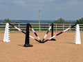 PolyJumps Spider set comprised of 2 pairs of Black and White 8 Cups and 4 9 Band Pro Poles coloured: Black, Pink and White.