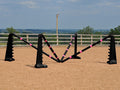 PolyJumps Spider set comprised of 2 pairs of Black 8 Cups and 4 9 Band Pro Poles coloured: Black and Pink.